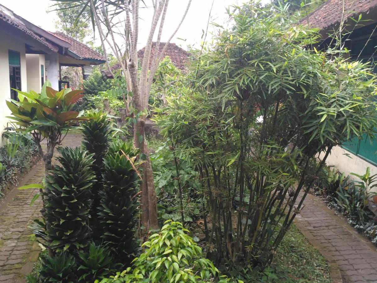 Dhangin Taman Karangasem Esterno foto
